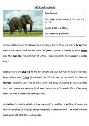 English Worksheet: African Elephants 