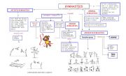 English Worksheet: GYMNASTICS