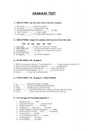 English Worksheet: Grammar Test