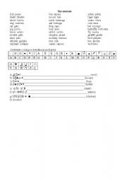 English Worksheet: Animals