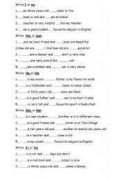English Worksheet: possesive adjectives