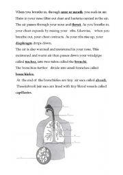 English worksheet: Respiration tutorial