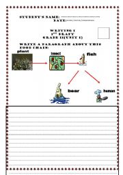 English Worksheet: write about this food chain