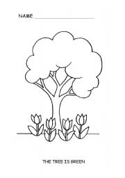 English Worksheet: THE TREE IS GREEN