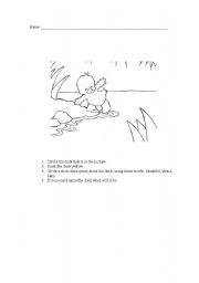 English Worksheet: Duck 