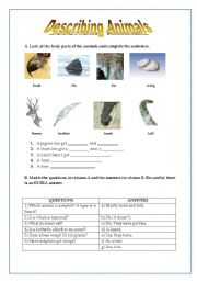 English worksheet: Describing Animals