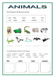 Animals - ESL worksheet by phrallis