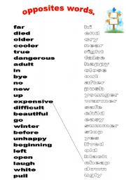 English Worksheet: opposites