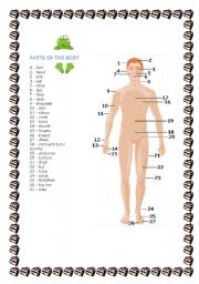 English Worksheet: Parts of the body