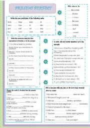 English Worksheet: PRESENT PERFECT