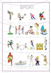 English Worksheet: sport