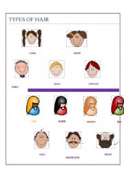 English Worksheet: types of hair