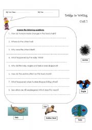 English worksheet: Food Chains