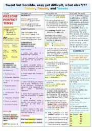 PRESENT PERFECT  (SIMPLE) TENSE