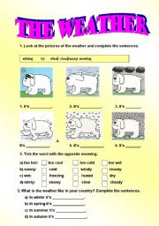 English Worksheet: The weather