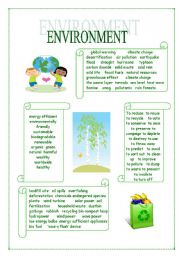 English Worksheet: Environment Vocabulary