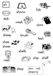 English Worksheet: -sh Consonant diagraphs