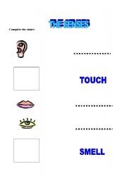 English worksheet: Lets remember the senses!!
