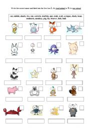 English Worksheet: animals part 2