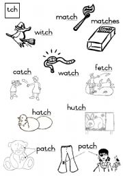 English Worksheet: -tch Consonant diagraph