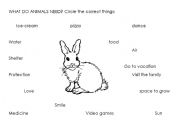 English worksheet: What do animals need?