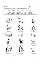 English Worksheet: animals and their babies 