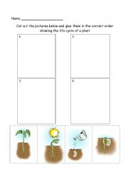 plant lifecycle assessment