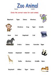 English Worksheet: zoo animal