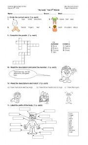 English Worksheet: body parts