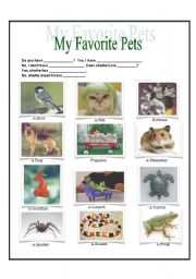 Pets - Elementary vocabulary and grammar