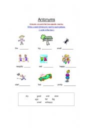 English Worksheet: Antonyms