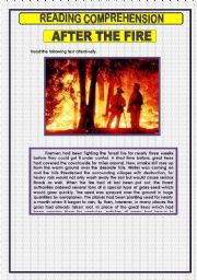 English Worksheet: READING COMPREHENSION - 