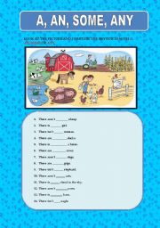 English Worksheet: A, AN, SOME, ANY