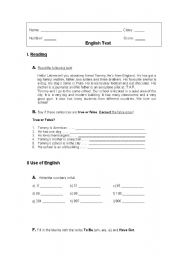 English Worksheet: English test