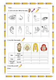 English Worksheet: Body parts and descriptions