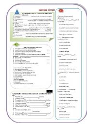 English Worksheet: GRAMMAR SUCCESS