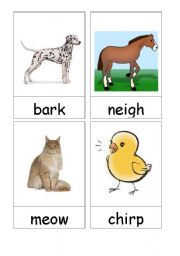 English Worksheet: Animal sounds