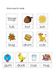 English Worksheet: Short vowel /u/