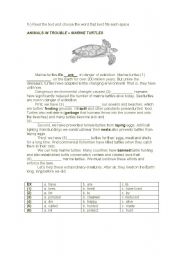 English Worksheet: endangered species