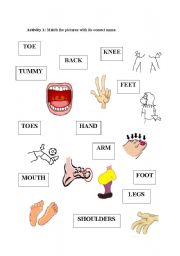 English worksheet: Matching