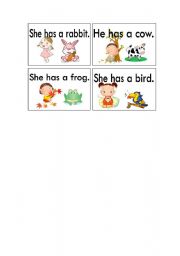 English worksheet: She / He  has