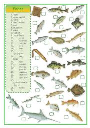 English Worksheet: Fishes - matching exercise