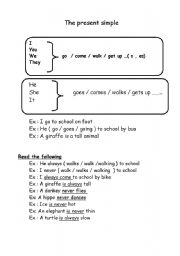 English worksheet: present simple & exercise 