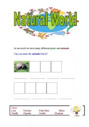 English worksheet: Natural World