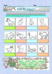 English Worksheet: name the animals