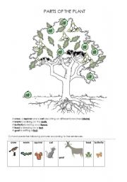 English Worksheet: Parts of the plant
