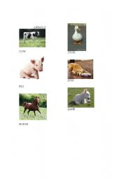 English worksheet: Animals