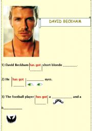 English worksheet: Can you describe D. Beckham?