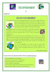 English Worksheet: The Environment 