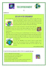 English Worksheet: The Environment 